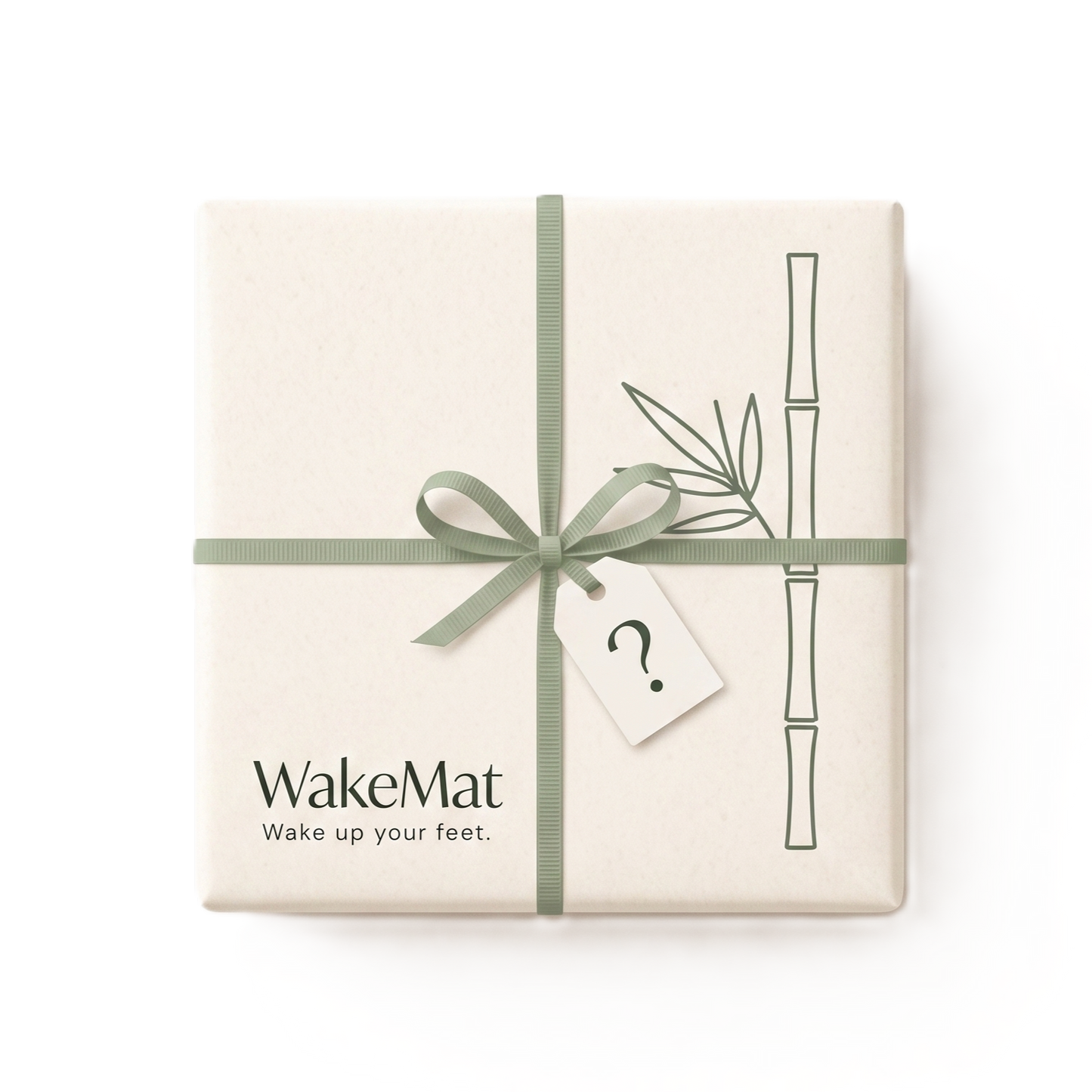 Mystery Gift
